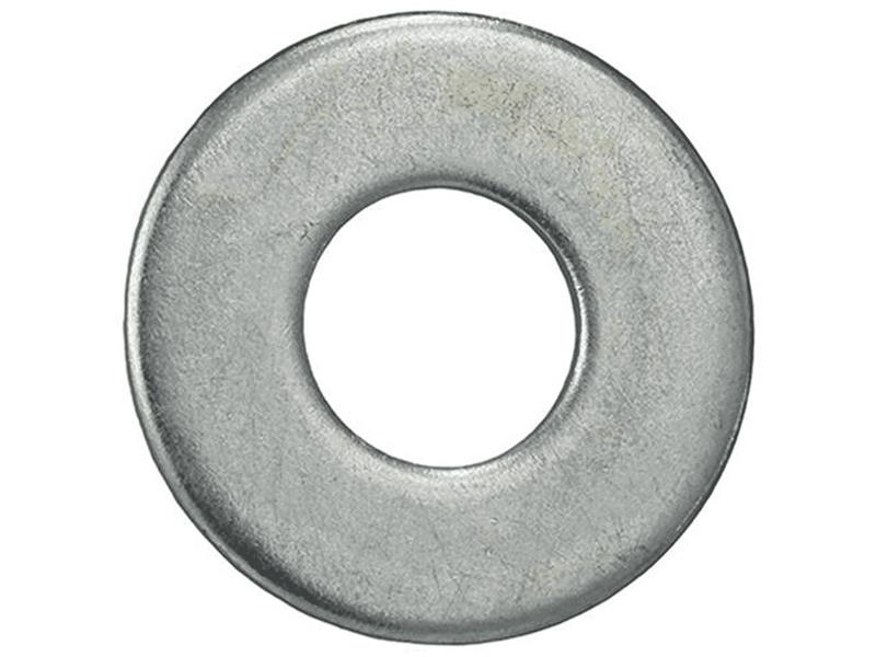 FW38 Screws and Fasteners by DOTTIE