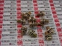 ALLEN BRADLEY 4102280001