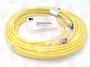 RADWELL RADM12M1229