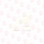 SMC SSQ2000-SE
