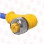 TURCK WK 4.21T-10